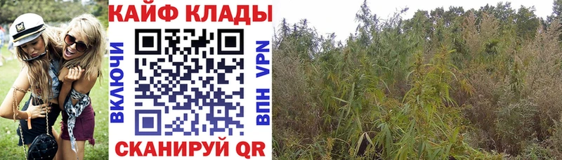 Купить наркотики Канск ТГК  Амфетамин  ГАШИШ  Метадон  Меф  МАРИХУАНА 