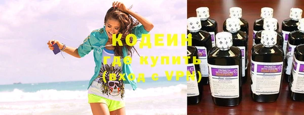 стаф Гусь-Хрустальный