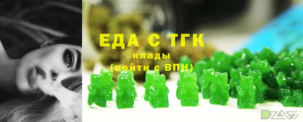 стаф Гусь-Хрустальный