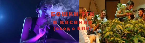 стаф Гусь-Хрустальный