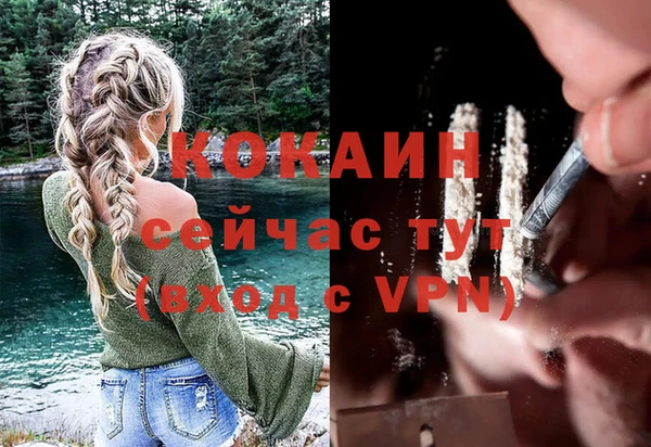 мет Гусев