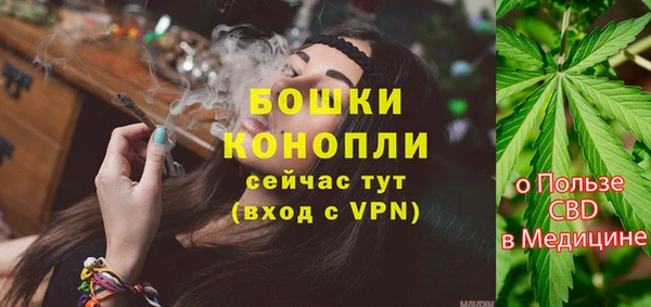 стаф Гусь-Хрустальный