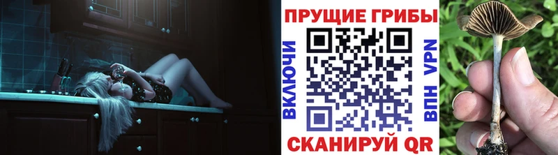 Псилоцибиновые грибы MAGIC MUSHROOMS  Канск 